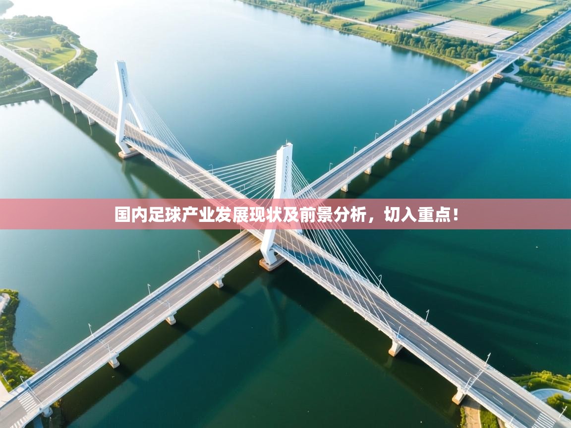 开云体育忘记密码找回-国内足球产业发展现状及前景分析，切入重点！  第3张