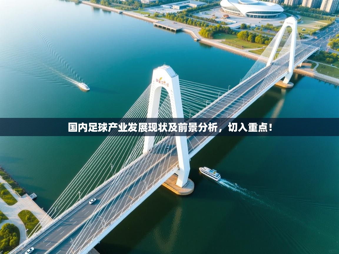 开云体育忘记密码找回-国内足球产业发展现状及前景分析，切入重点！  第2张