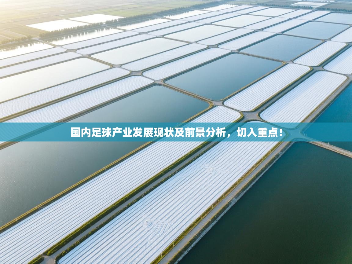 开云体育忘记密码找回-国内足球产业发展现状及前景分析，切入重点！  第4张