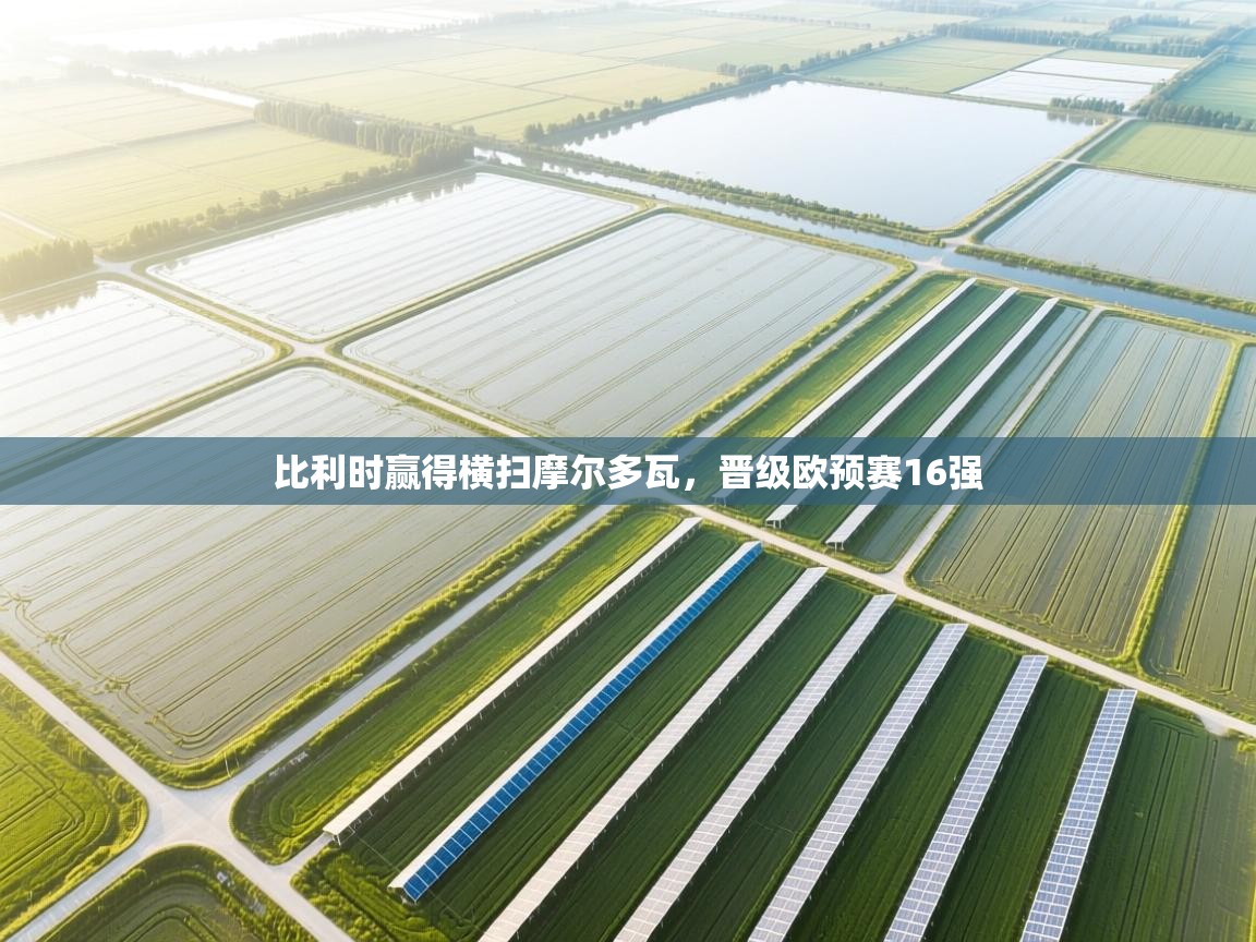 开云体育app官网下载地址-比利时赢得横扫摩尔多瓦,晋级欧预赛16强 第2张