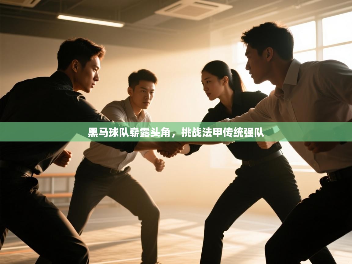 开云登录-黑马球队崭露头角，挑战法甲传统强队  第4张