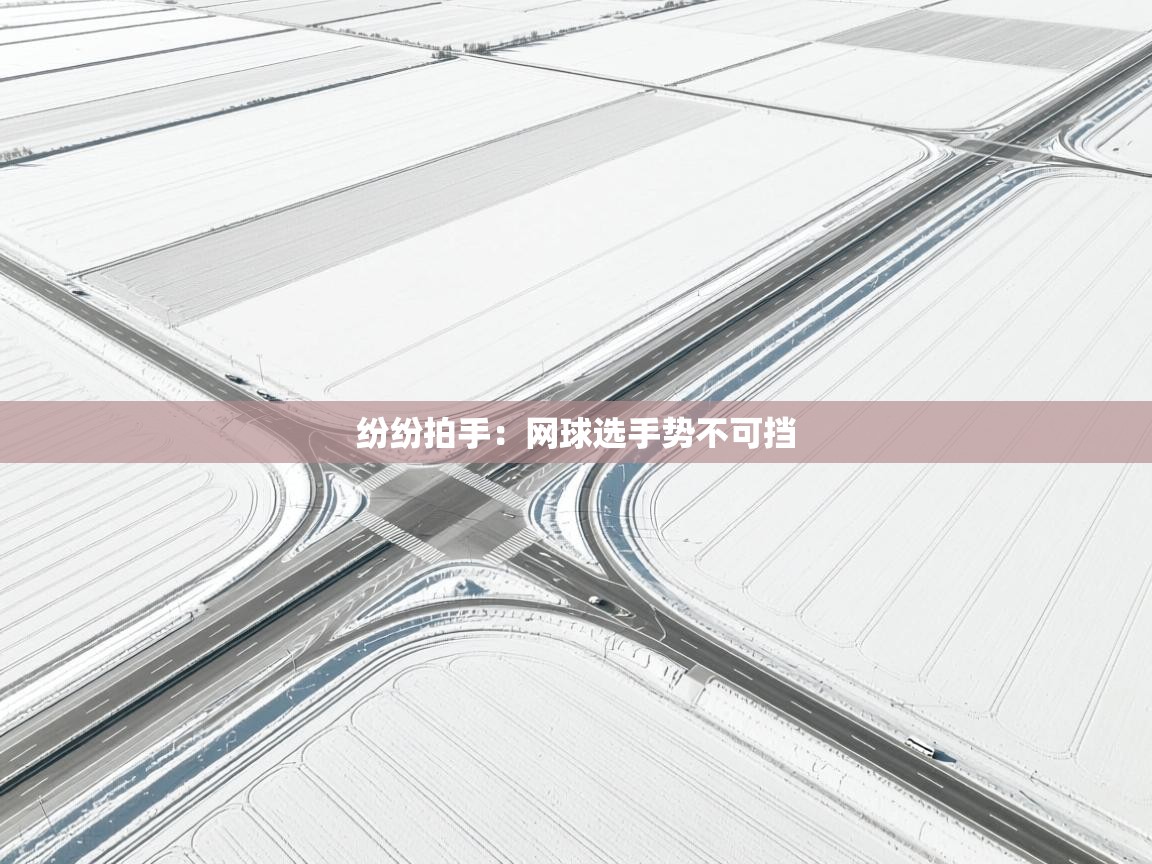 开云体育版本更新日志2025-纷纷拍手：网球选手势不可挡  第2张