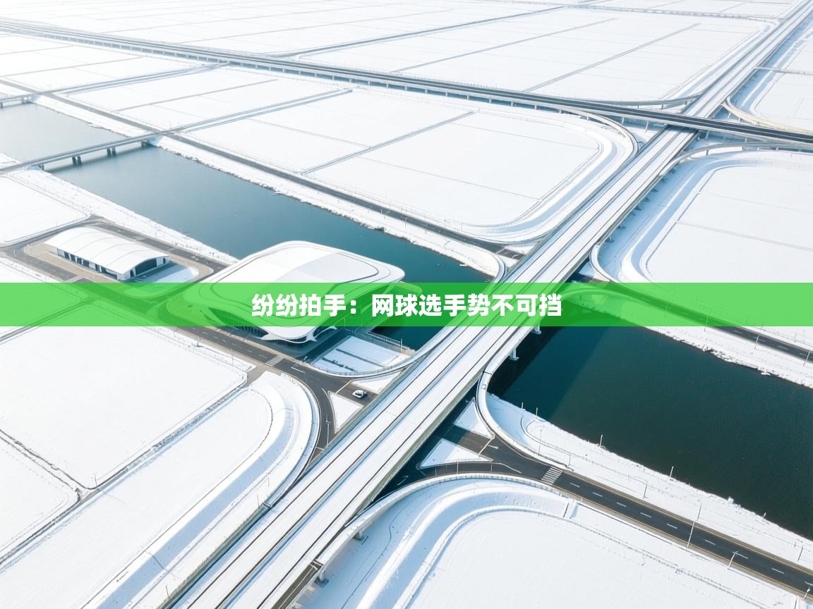 开云体育版本更新日志2025-纷纷拍手：网球选手势不可挡  第4张