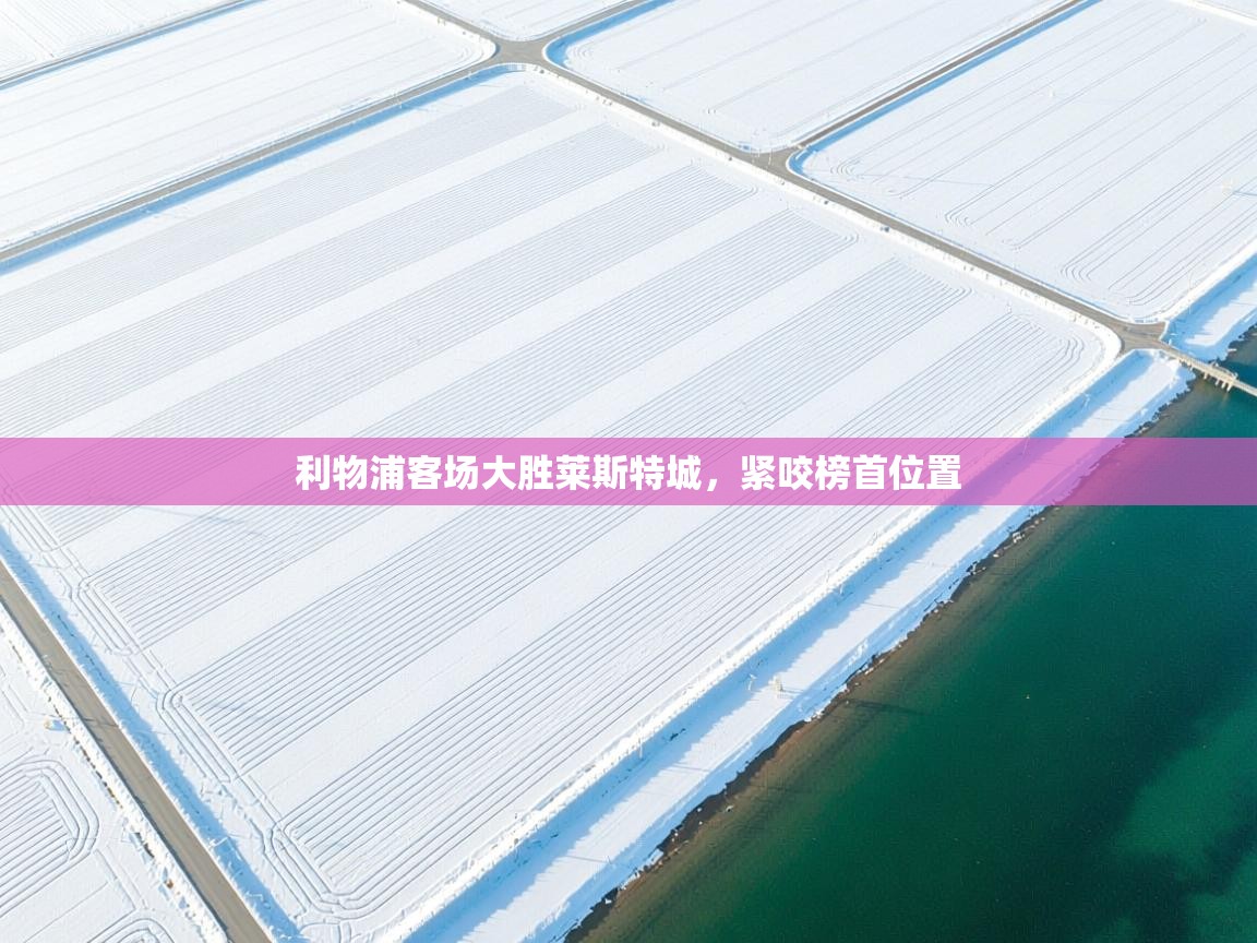 云开体育app网页版登录入口-利物浦客场大胜莱斯特城,紧咬榜首位置 第2张