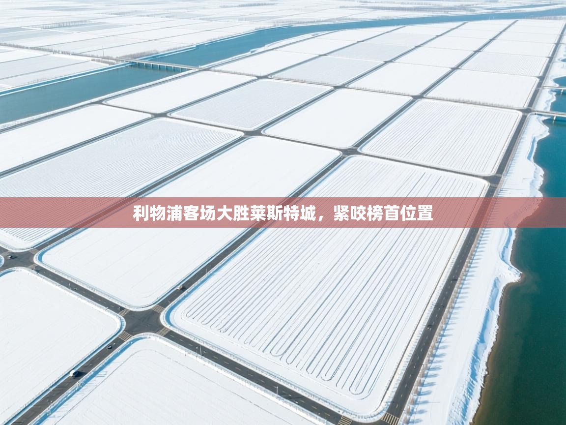 云开体育app网页版登录入口-利物浦客场大胜莱斯特城,紧咬榜首位置 第1张