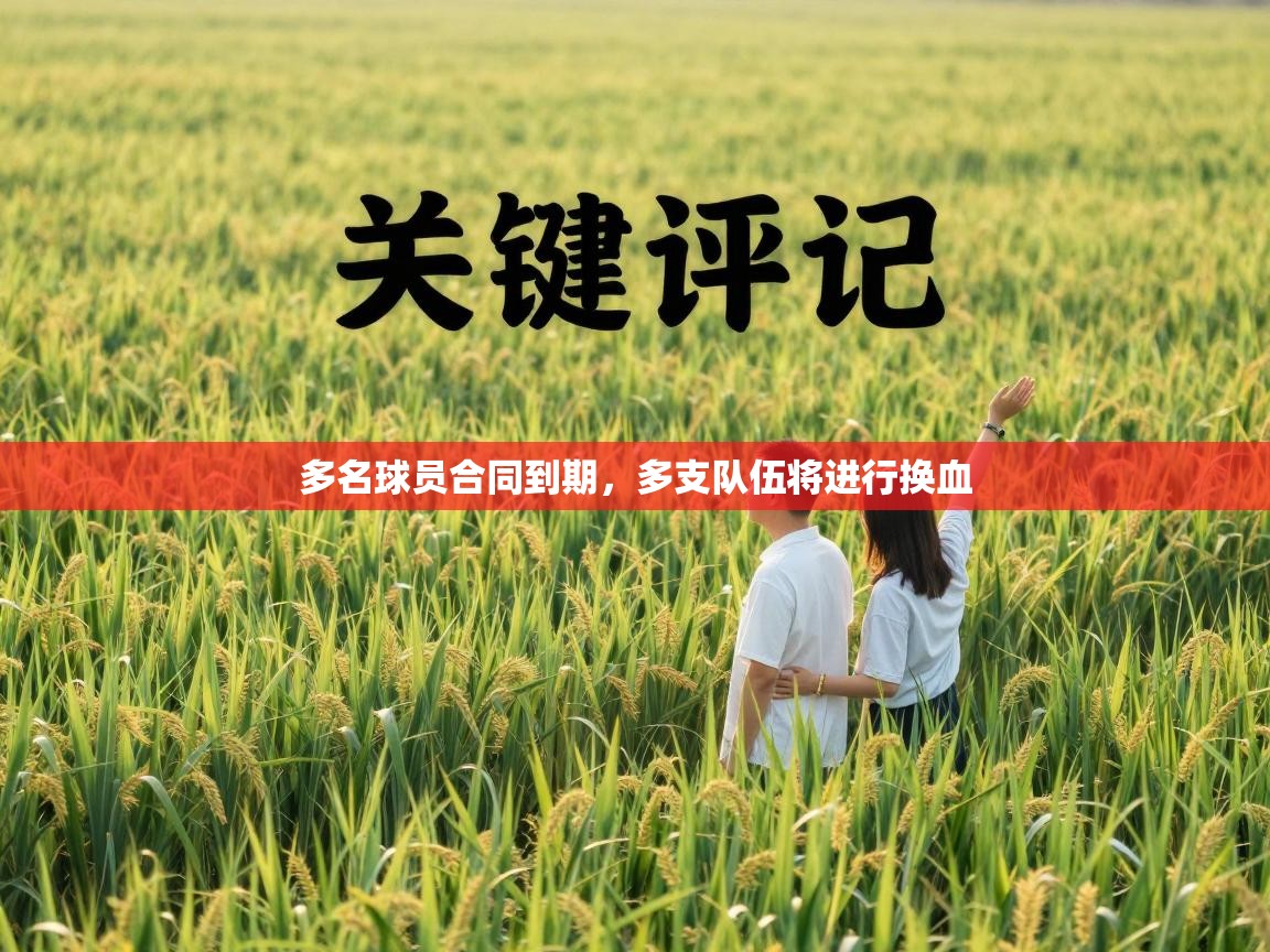 开云直播-多名球员合同到期，多支队伍将进行换血