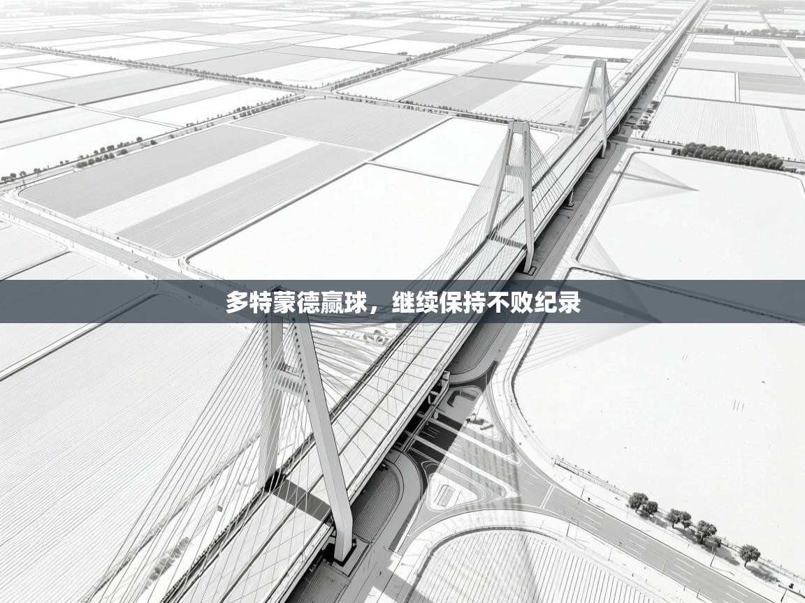 开云体育注册下载-多特蒙德赢球,继续保持不败纪录 第1张