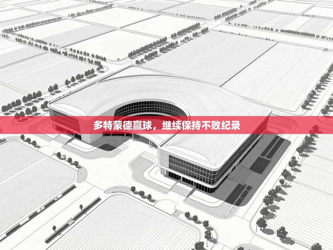 开云体育注册下载-多特蒙德赢球,继续保持不败纪录 第2张