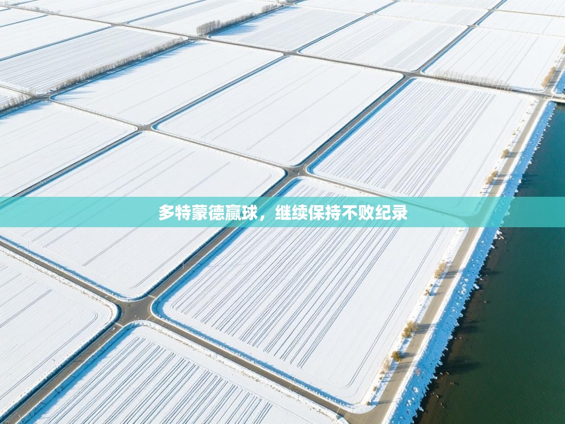 开云体育注册下载-多特蒙德赢球,继续保持不败纪录 第3张