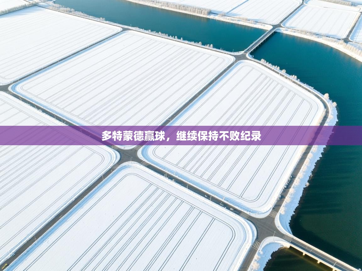 开云体育注册下载-多特蒙德赢球,继续保持不败纪录 第4张