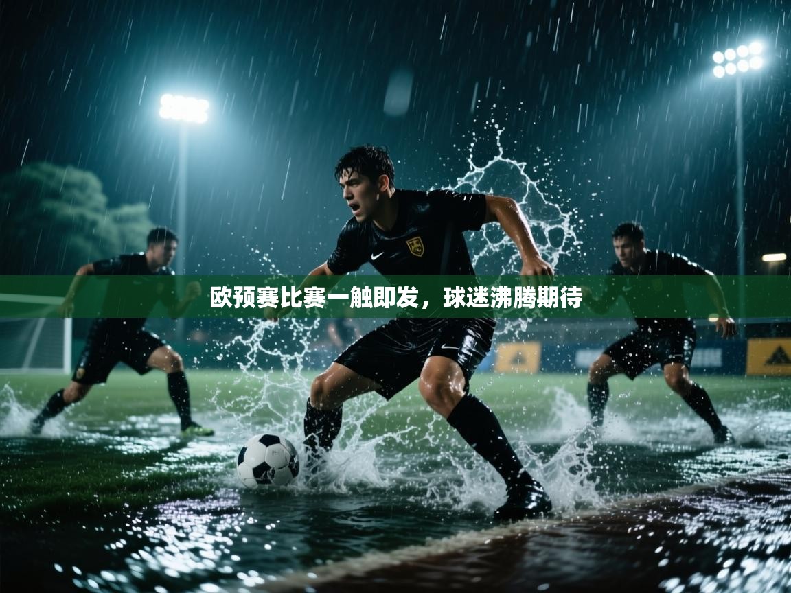 开云体育客服在线咨询-欧预赛比赛一触即发,球迷沸腾期待 第2张
