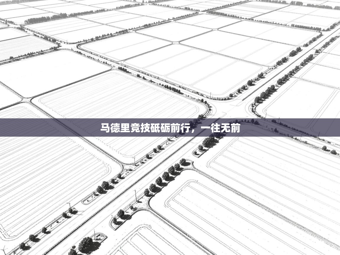 开云体育版本更新日志2025-马德里竞技砥砺前行，一往无前  第2张