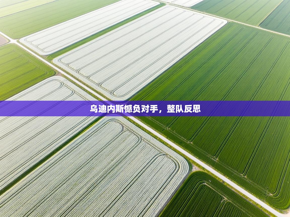 开云体育app下载安卓-乌迪内斯憾负对手，整队反思  第1张