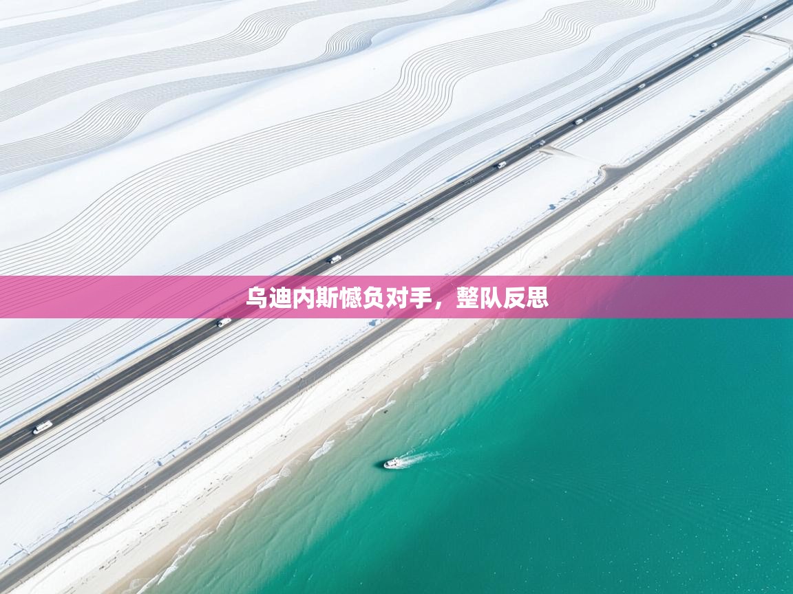 开云体育app下载安卓-乌迪内斯憾负对手，整队反思  第2张