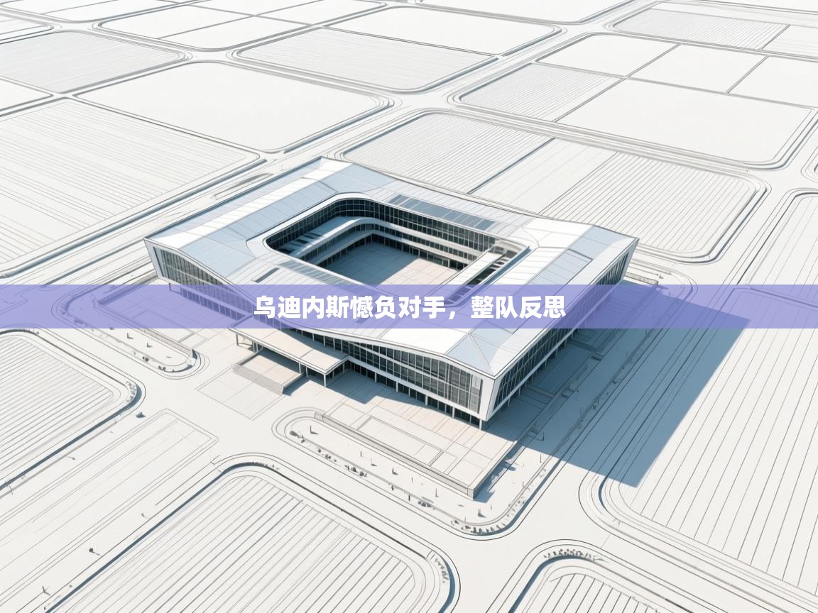 开云体育app下载安卓-乌迪内斯憾负对手，整队反思  第3张