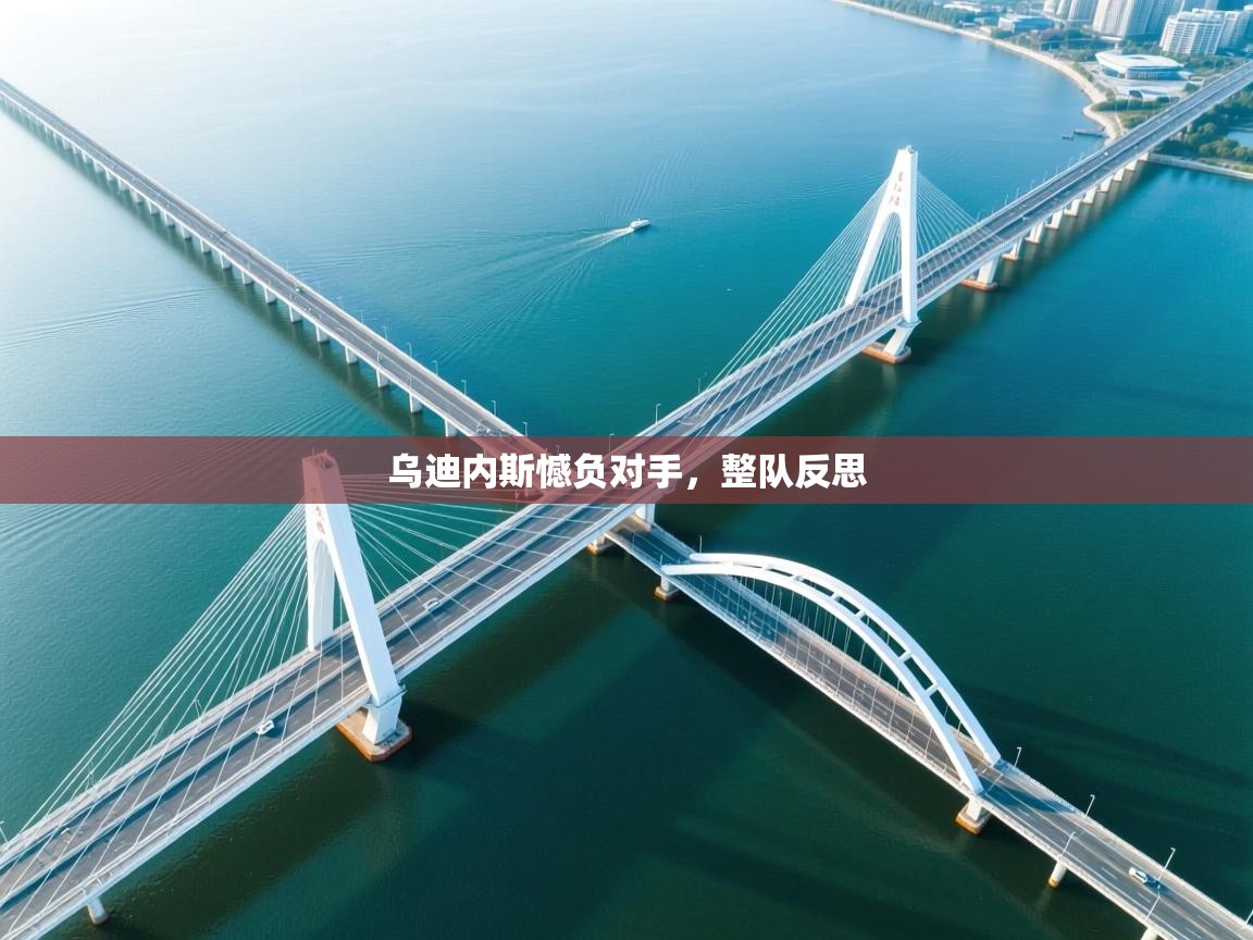 开云体育app下载安卓-乌迪内斯憾负对手，整队反思  第4张