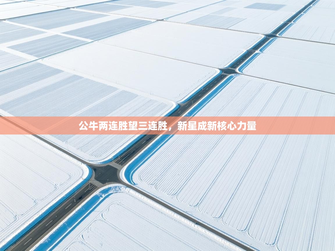 开云体育在线下载-公牛两连胜望三连胜,新星成新核心力量 第2张