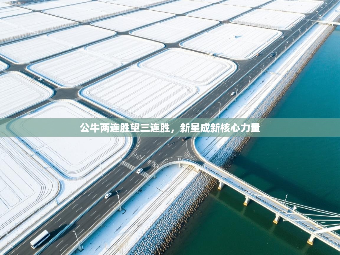 开云体育在线下载-公牛两连胜望三连胜,新星成新核心力量 第4张