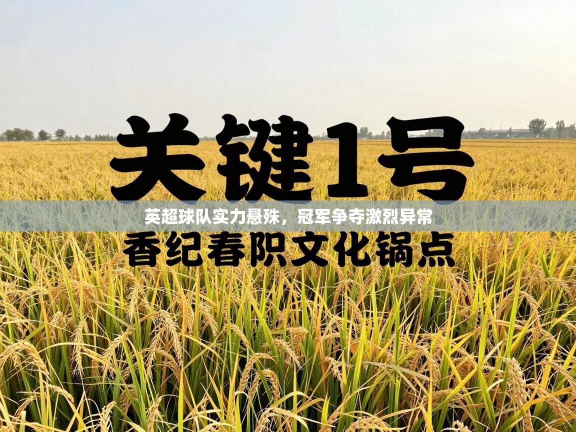 云开体育官网入口-英超球队实力悬殊，冠军争夺激烈异常  第1张