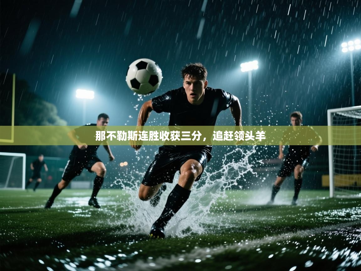 开云体育app下载-那不勒斯连胜收获三分，追赶领头羊  第3张
