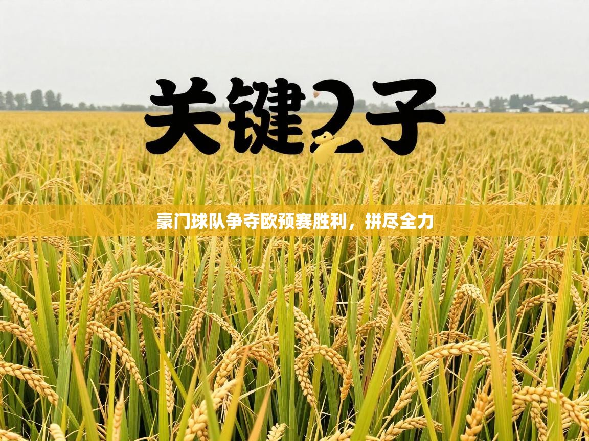 开运体育登录入口-豪门球队争夺欧预赛胜利，拼尽全力  第2张